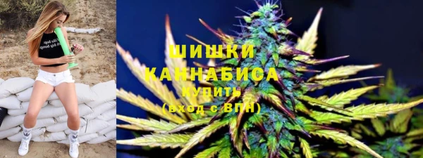 амф Ладушкин