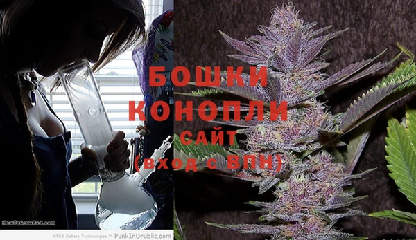 мяу мяу мука Куйбышев
